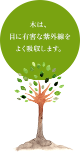 木は、目に有害な紫外線をよく吸収します。