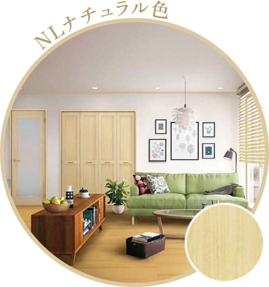 NLナチュラル色